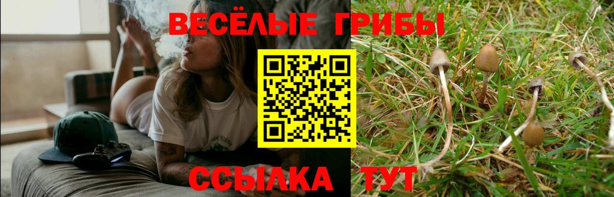 Псилоцибиновые грибы ЛСД Ногинск