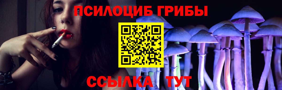 Ногинск  где найти наркотики  Вход с VPN  Галлюциногенные грибы Cubensis  Галлюциногенные грибы Cubensis 